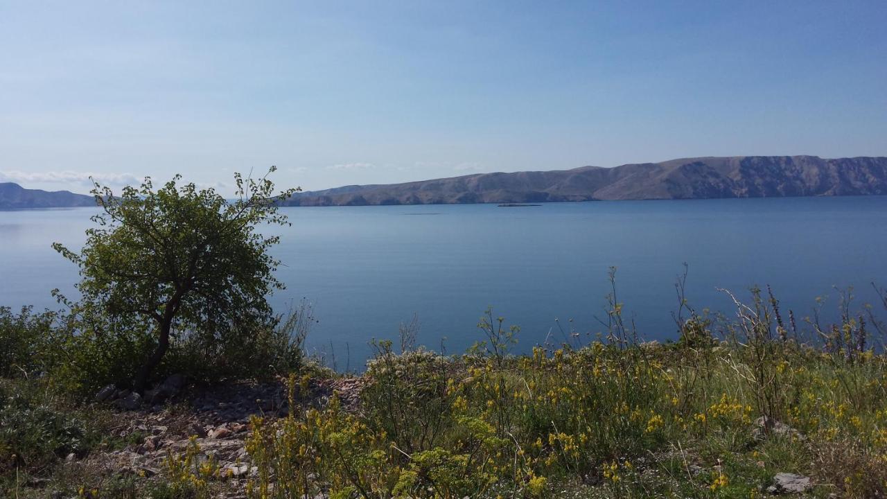 Dalibor Apartment Senj  Bagian luar foto