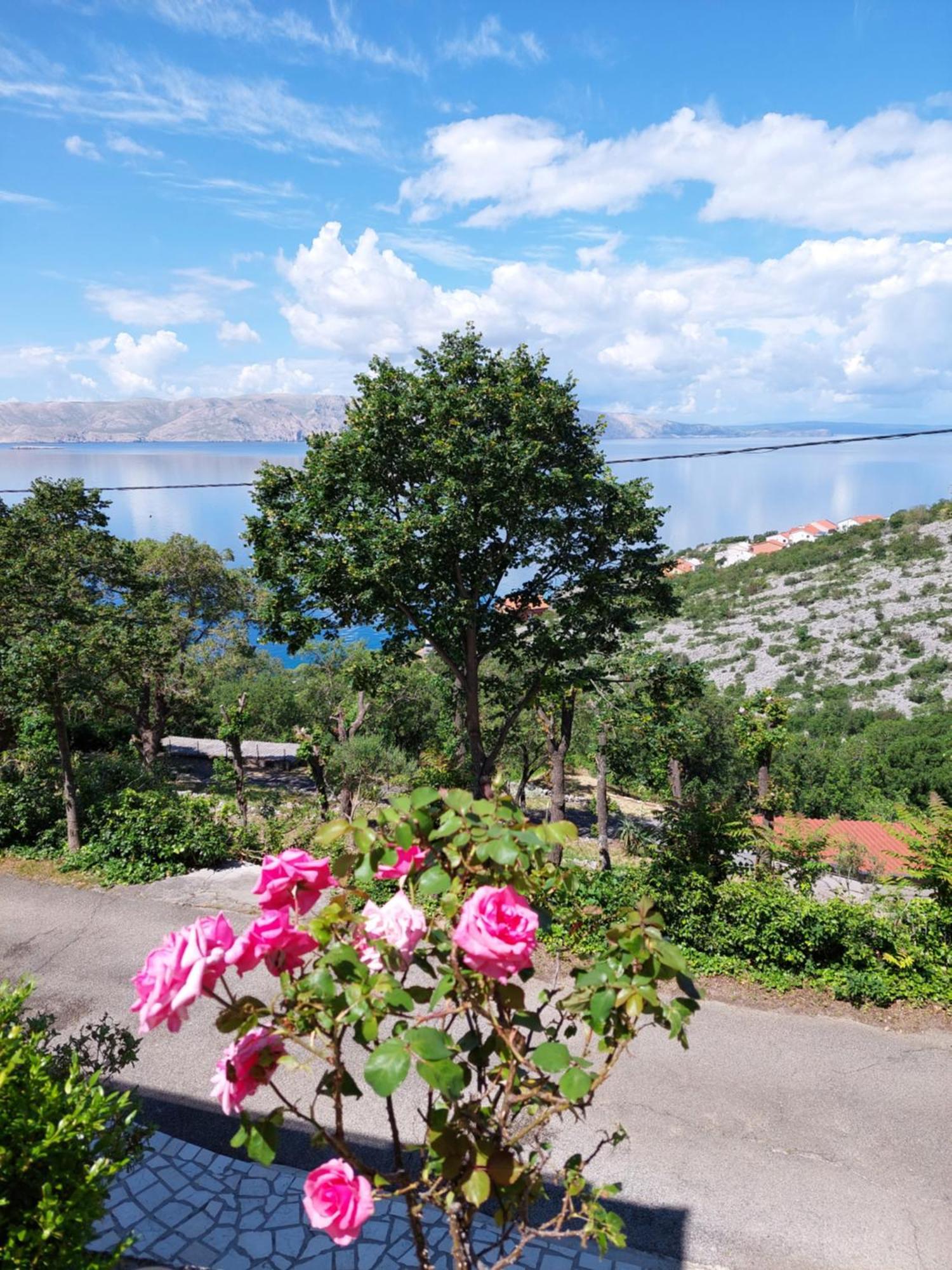 Dalibor Apartment Senj  Bagian luar foto