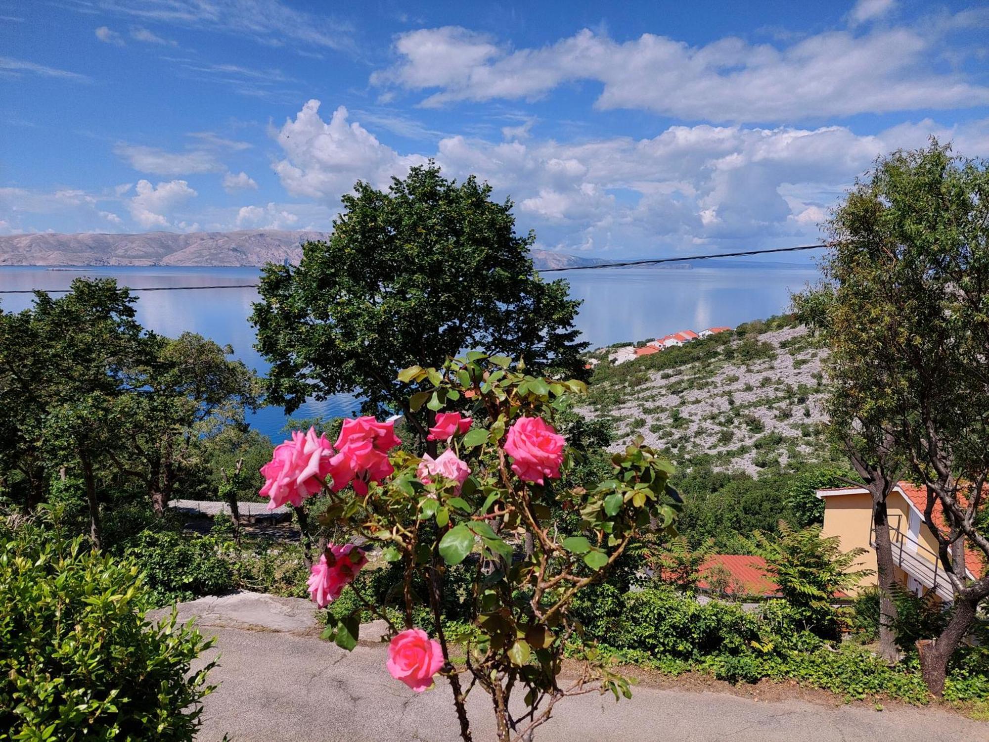 Dalibor Apartment Senj  Bagian luar foto